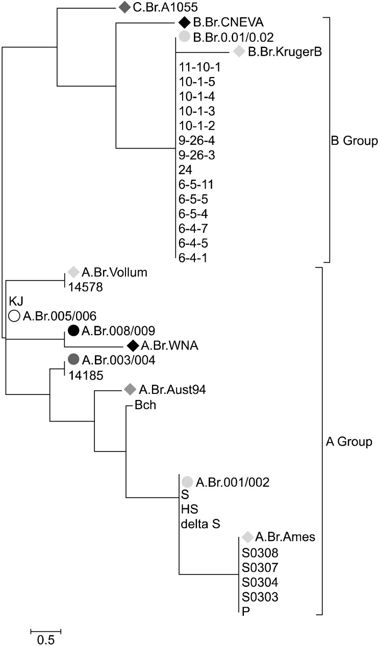 Fig. 2