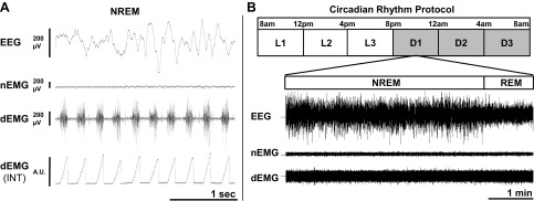 Fig. 1.