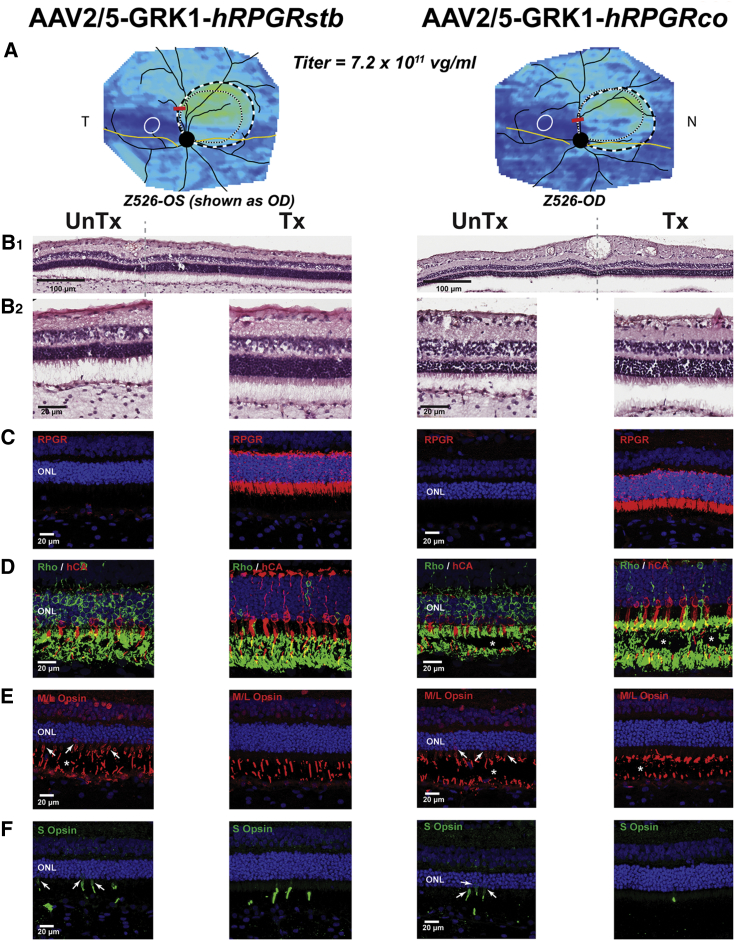 Figure 7