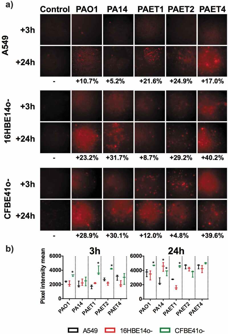 Figure 4.