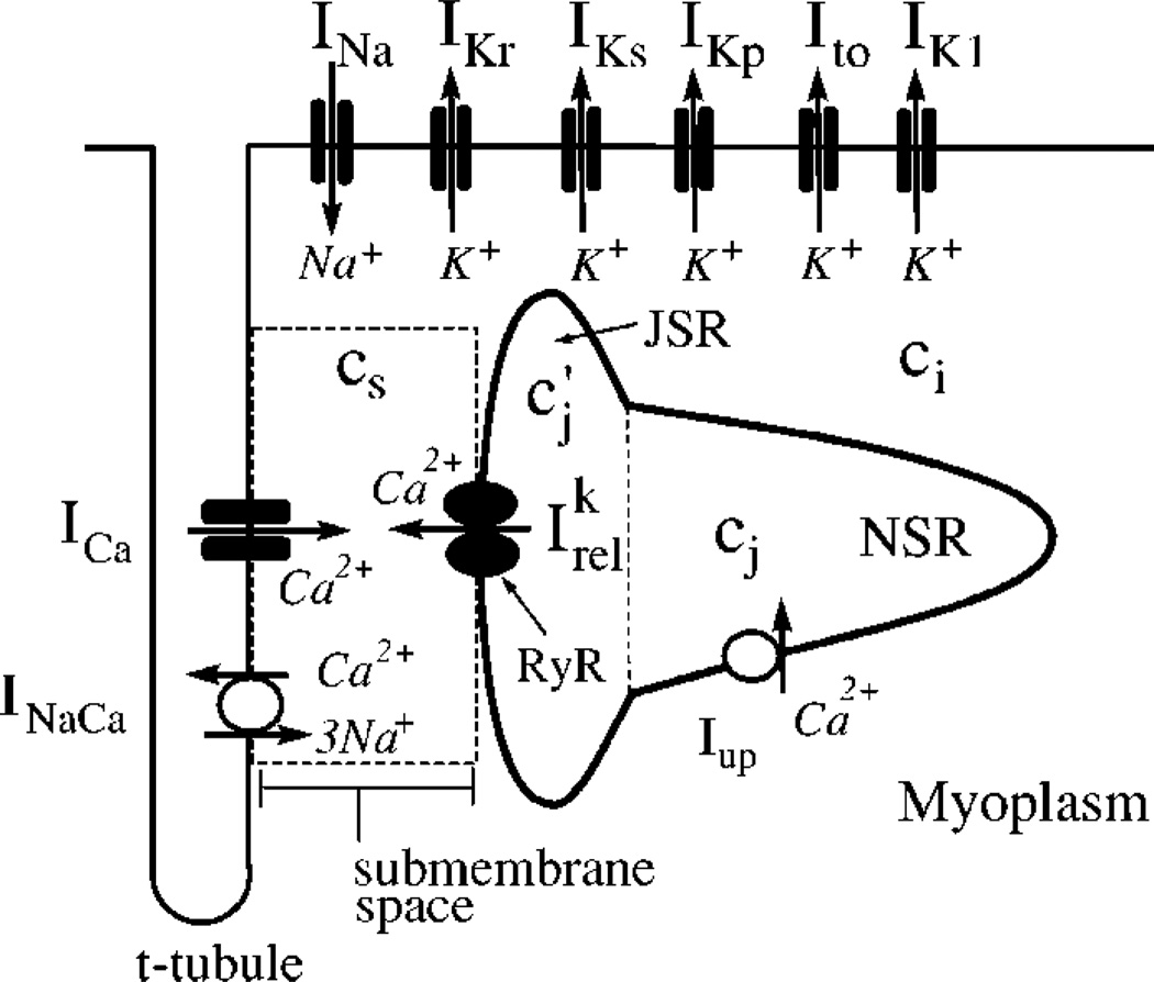 FIG. 1