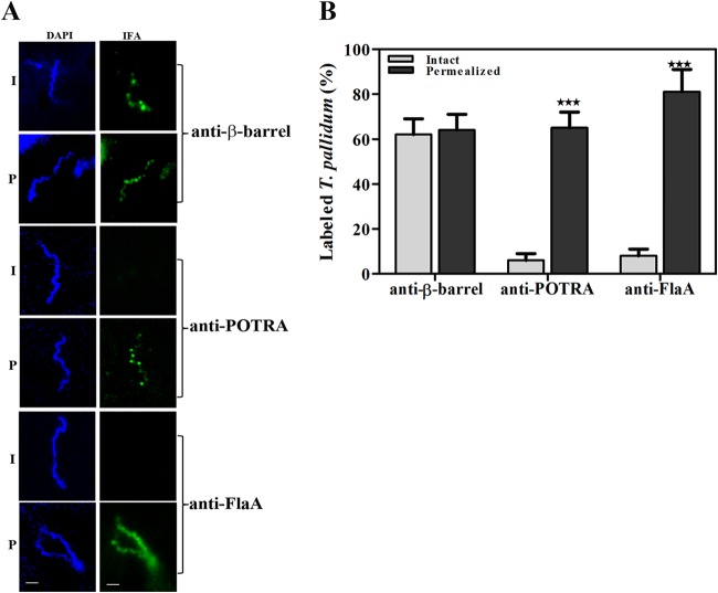 FIG 1