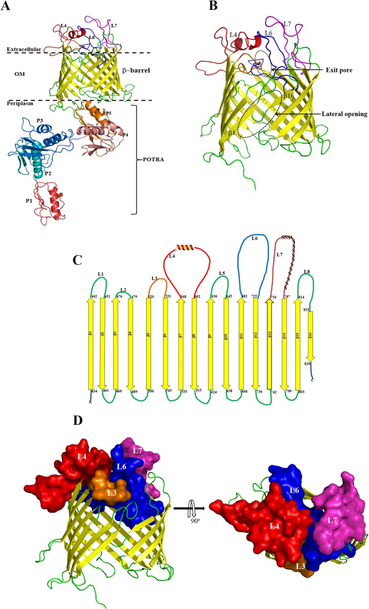 FIG 2