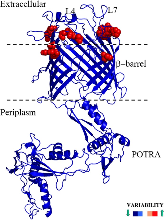 FIG 3