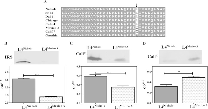 FIG 9