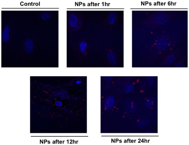 FIGURE 4