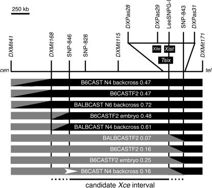 Figure 3.—