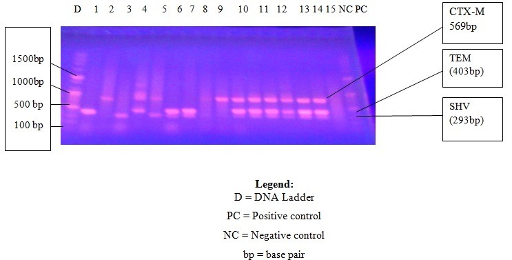 [Table/Fig-5]: