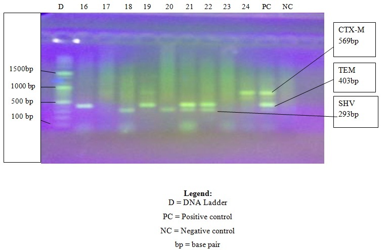 [Table/Fig-6]: