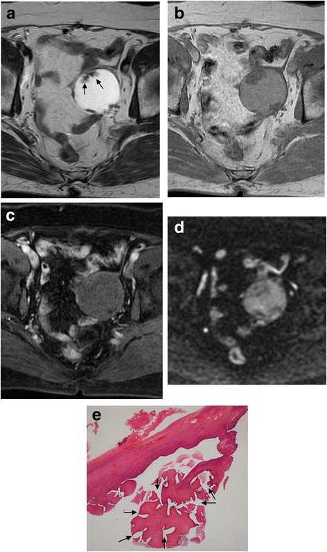 Fig. 5