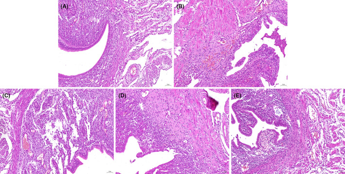 FIGURE 1