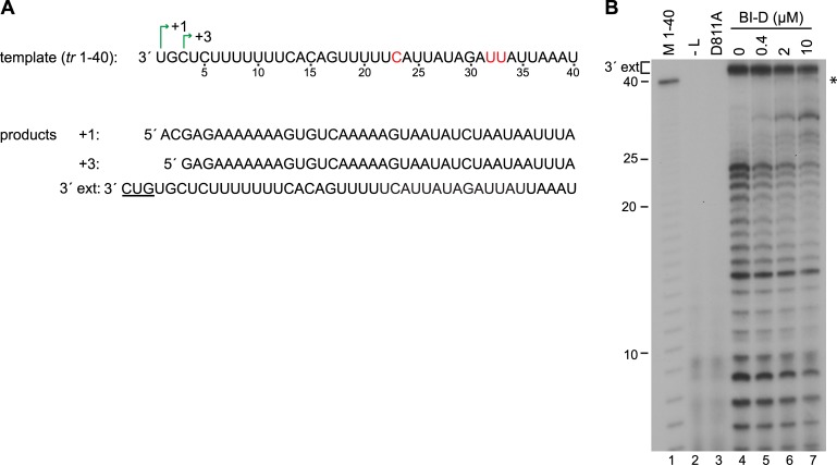 Fig 10