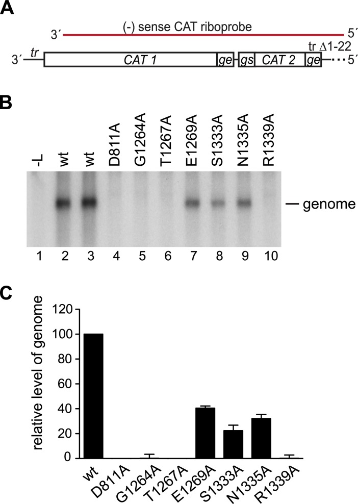 Fig 4