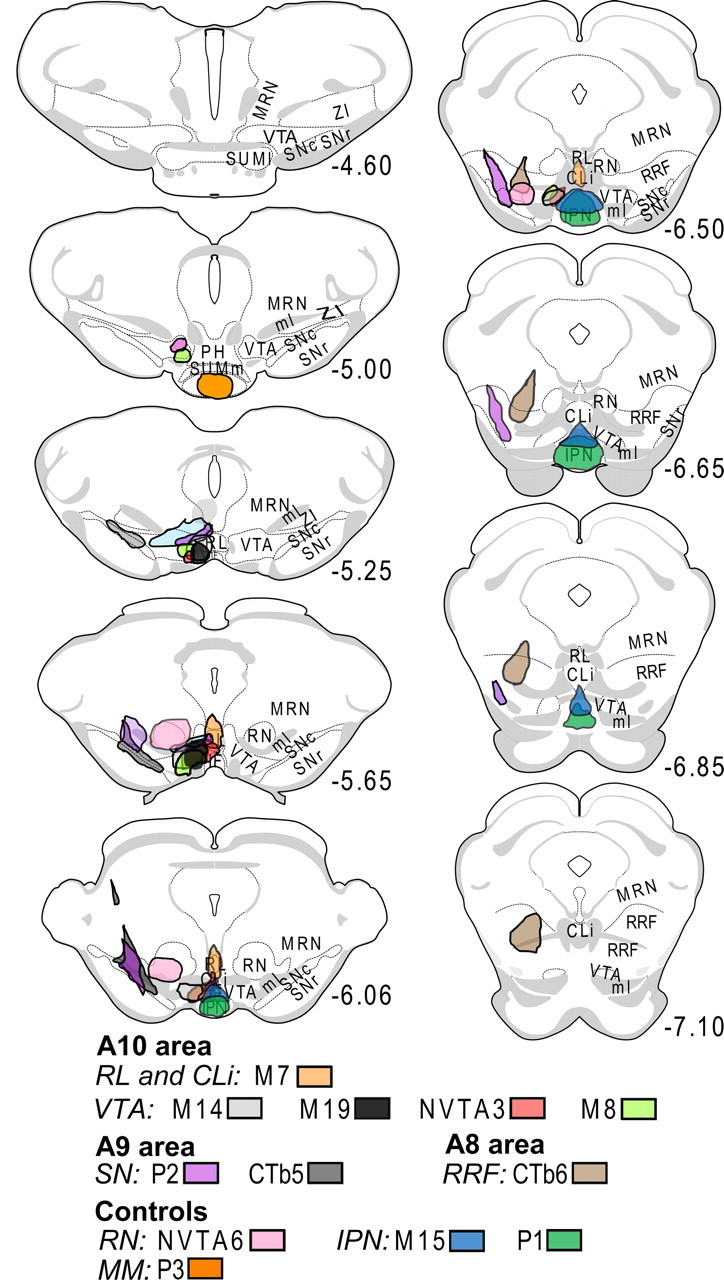 Figure 5.