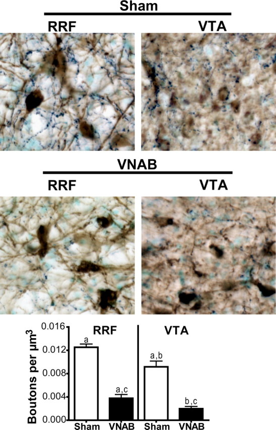 Figure 12.