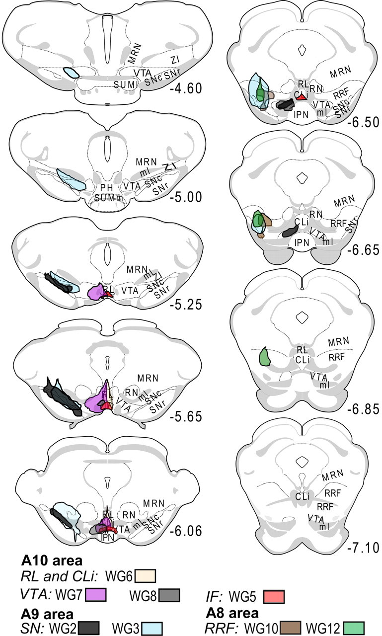 Figure 6.