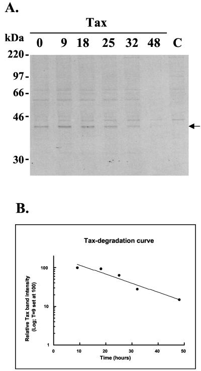 FIG. 6