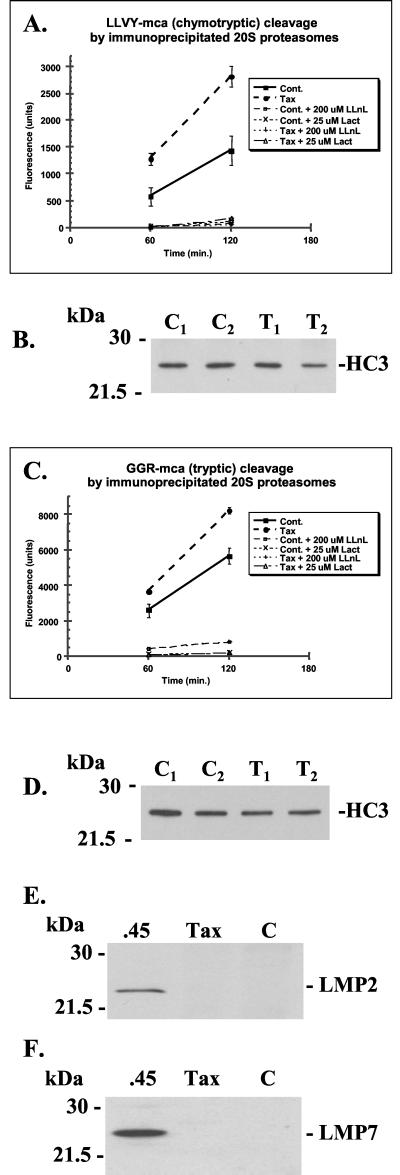 FIG. 5