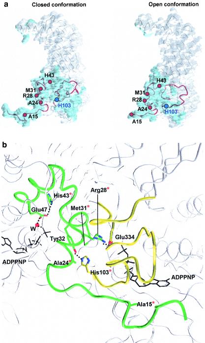 FIG. 4.