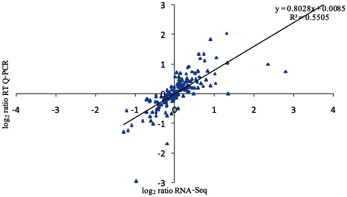 Figure 3.Validation