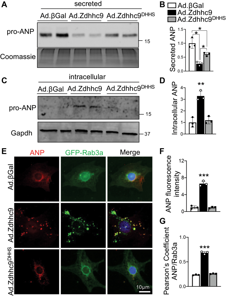 Figure 6