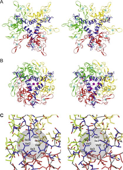 Fig. 2