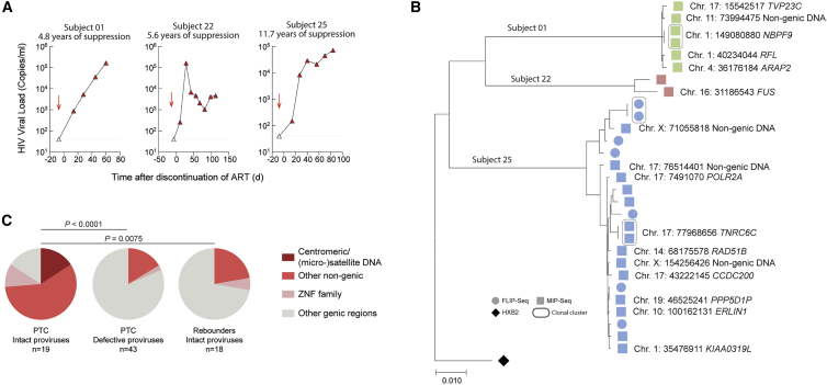 Figure 7