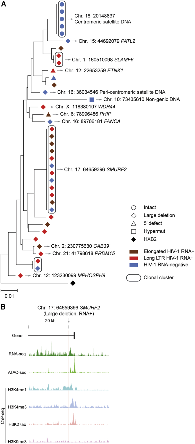 Figure 3