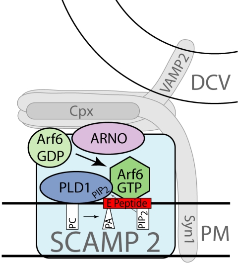 Figure 6.