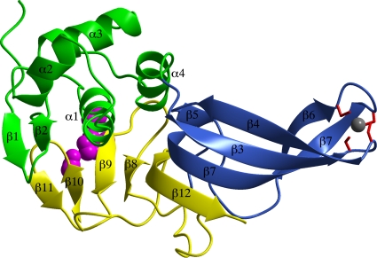 FIG. 1.