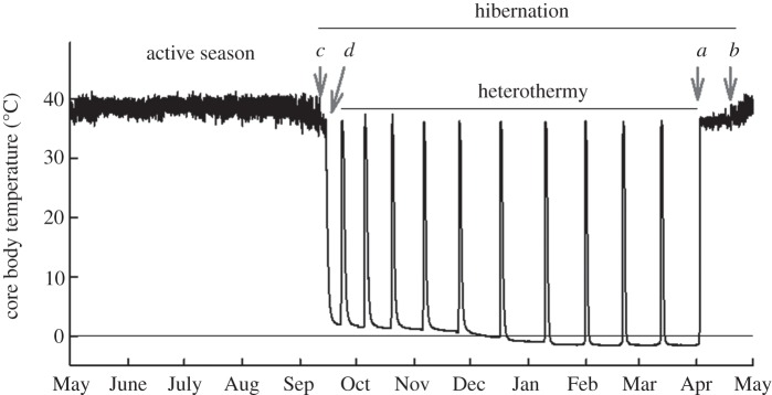 Figure 1.