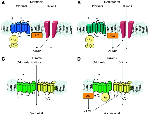 Fig. 3.