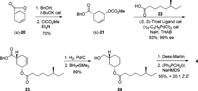 Scheme 4