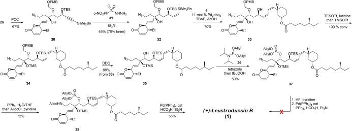 Scheme 6