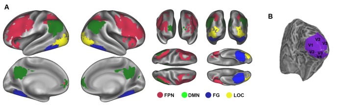 Figure 2—figure supplement 3.