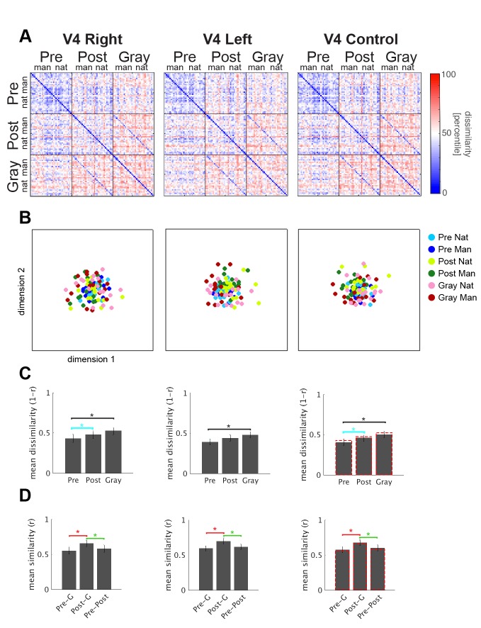 Figure 3—figure supplement 2.