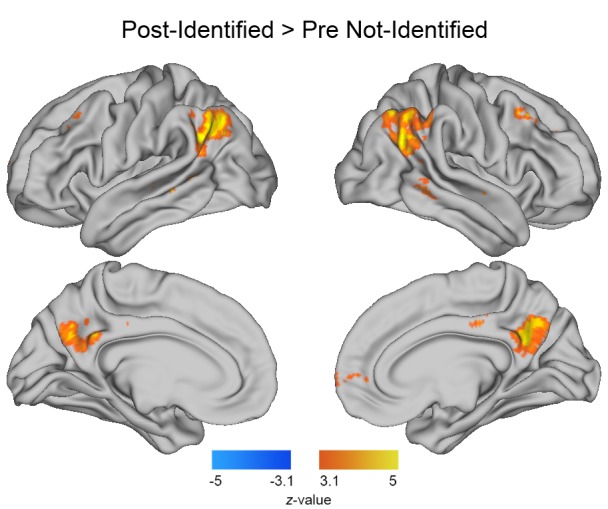 Figure 2—figure supplement 1.