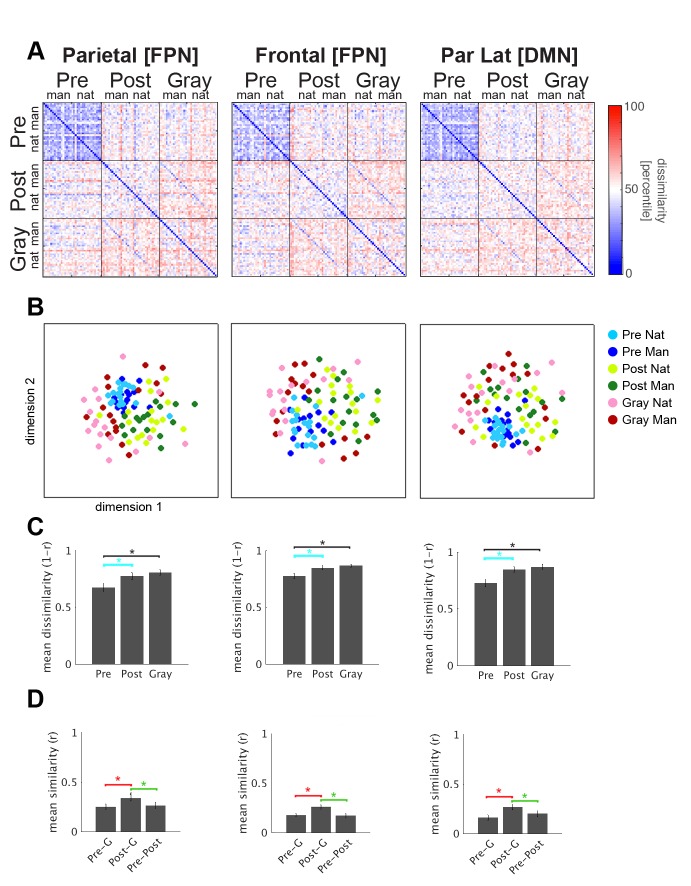 Figure 4—figure supplement 1.