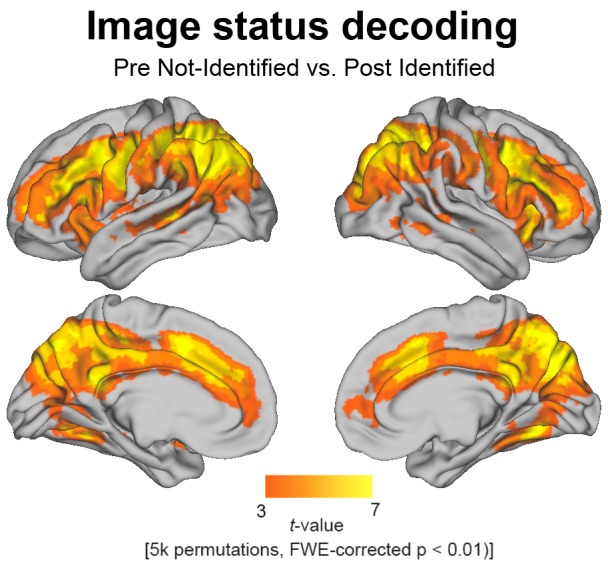 Figure 2—figure supplement 2.