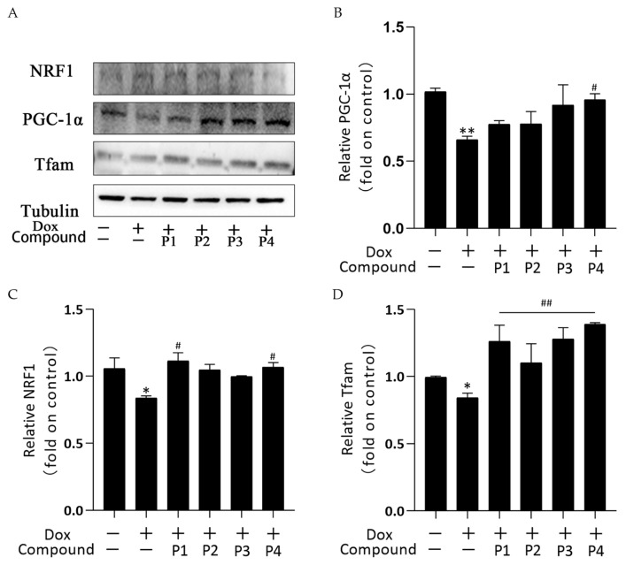 Figure 7