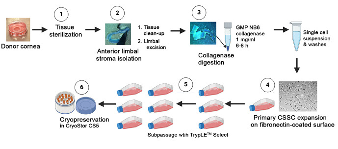 graphic file with name BioProtoc-14-18-5074-ga001.jpg