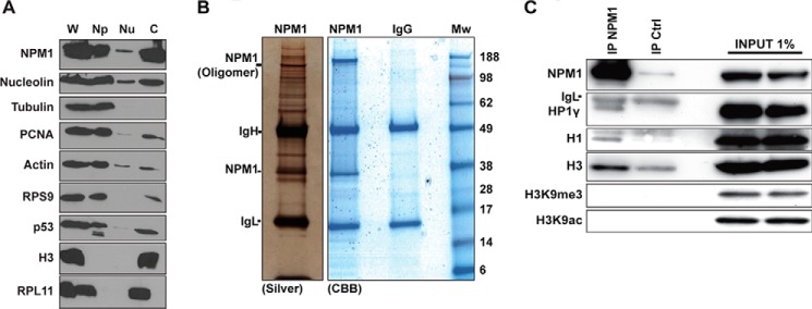 FIGURE 7.