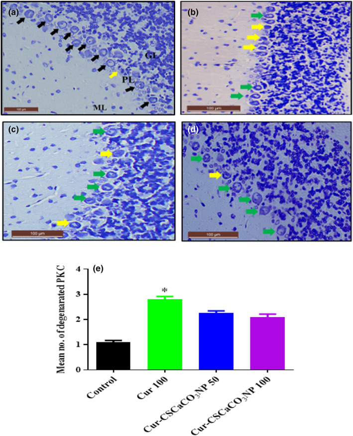 FIGURE 19