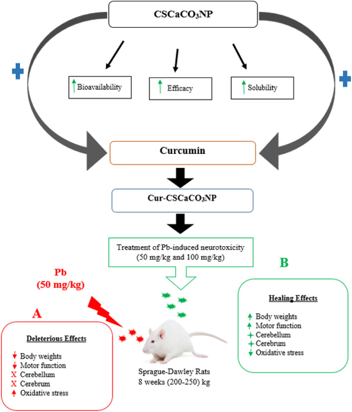 FIGURE 20