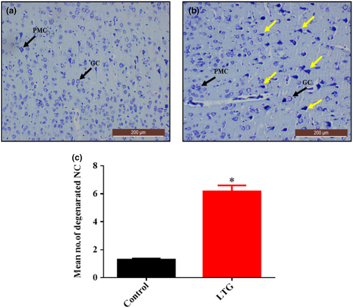 FIGURE 13