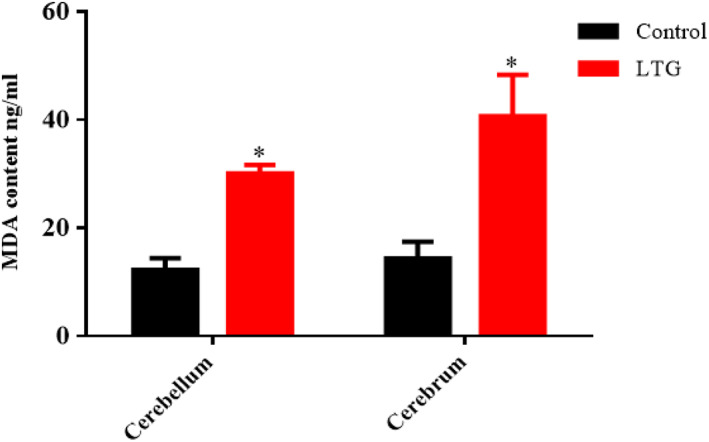 FIGURE 10