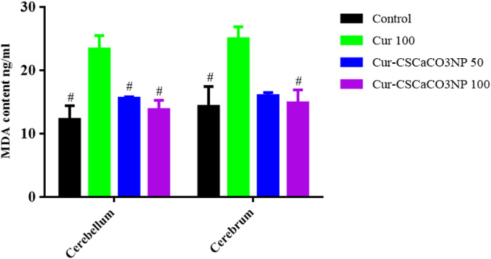 FIGURE 11