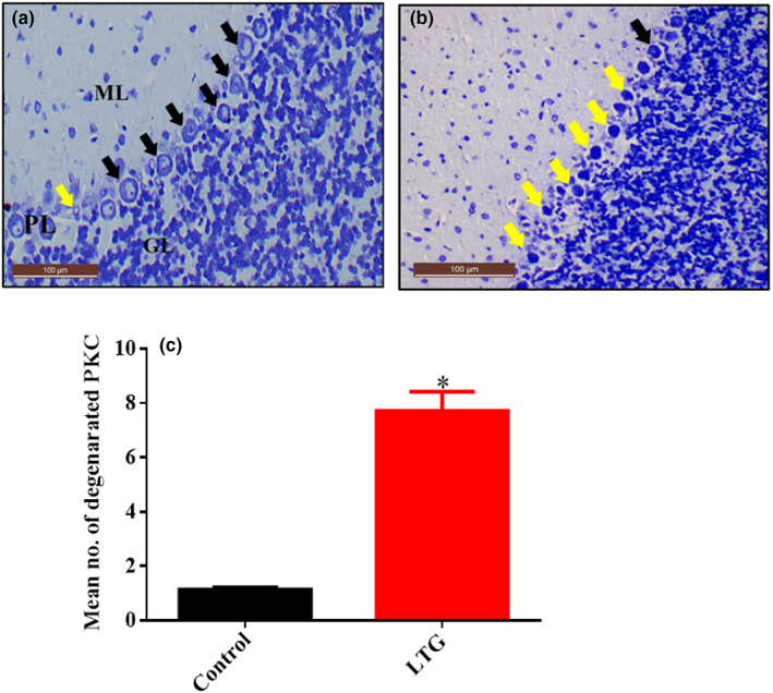 FIGURE 17