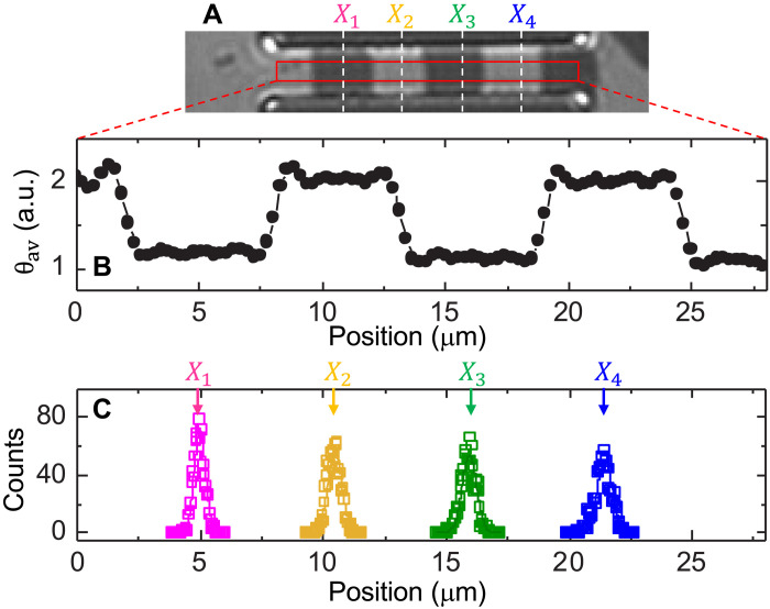 Fig. 3.