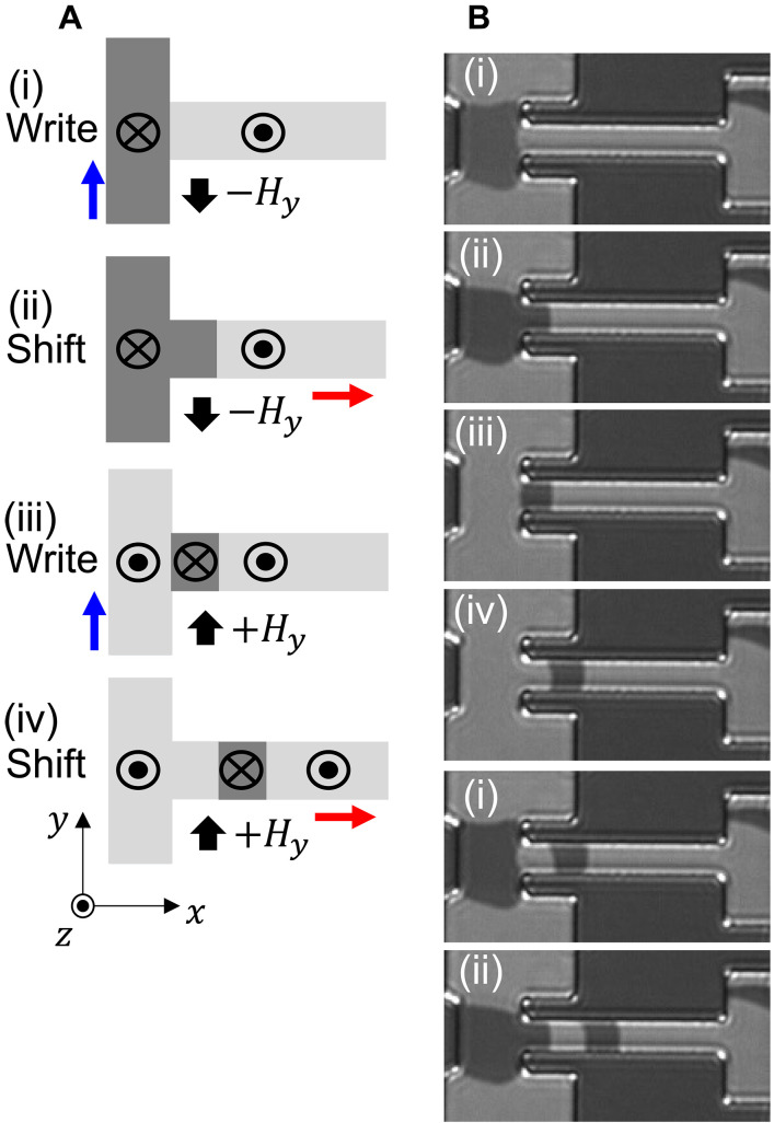 Fig. 2.